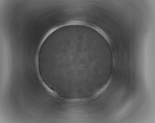 X0000113921438200909241521