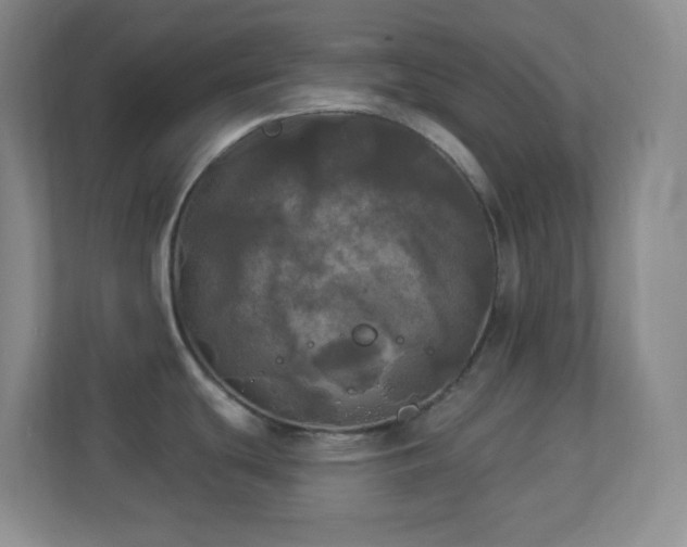 X0000113921439200909241521