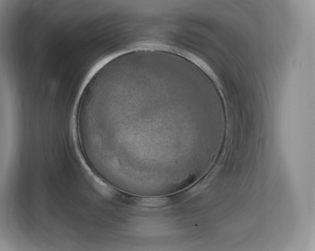 X0000113921440200909241521