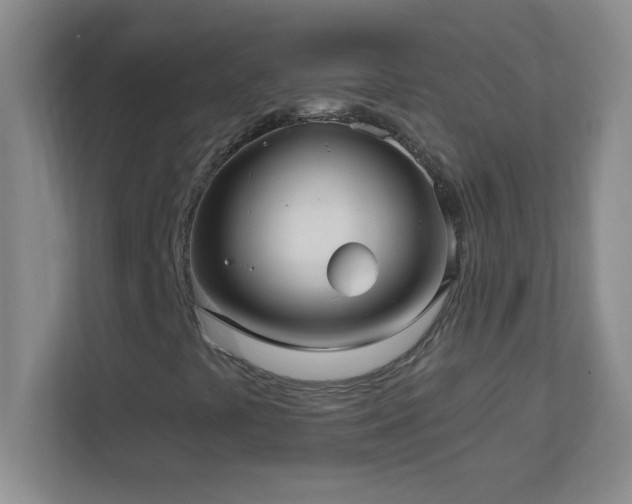 X0000113921441200909241520