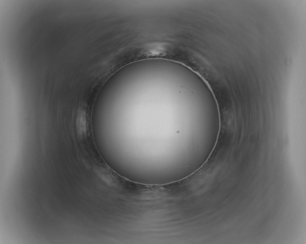 X0000113921442200909241520