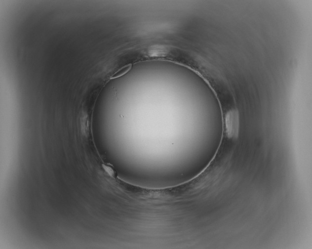 X0000113921443200909241520