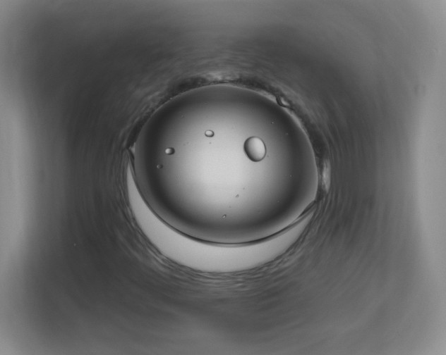 X0000113921444200909241520