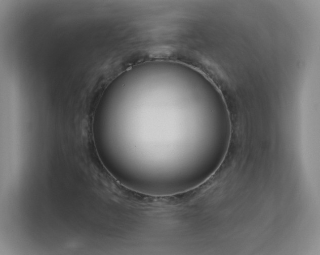 X0000113921445200909241520