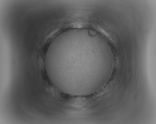 X0000113921446200909241520