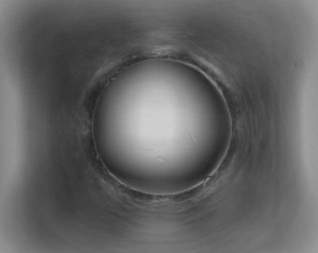 X0000113921447200909241520