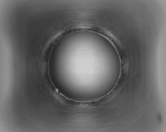 X0000113921448200909241520