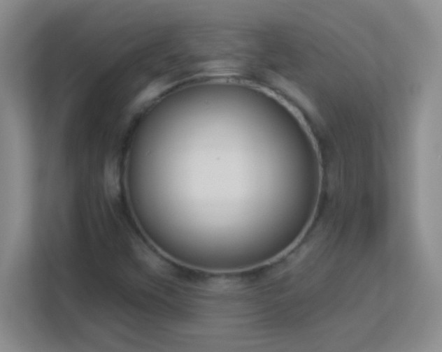 X0000113921451200909241520