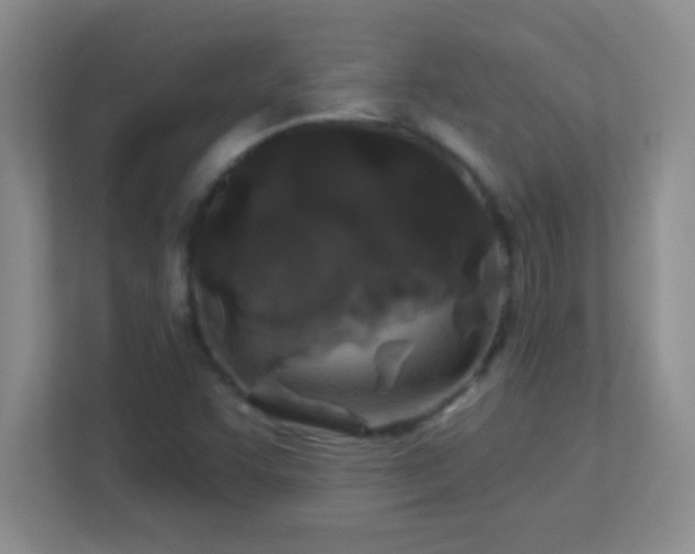 X0000113921455200909241520