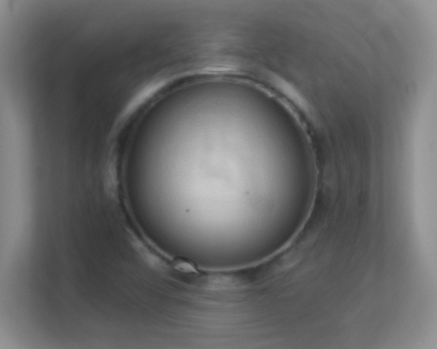 X0000113921456200909241520