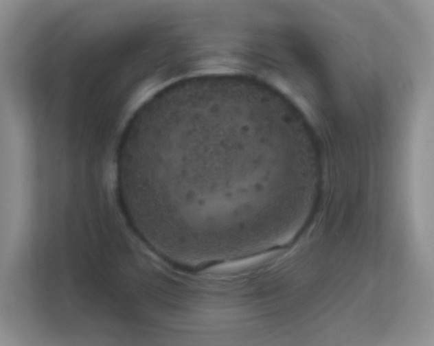 X0000113921459200909241520