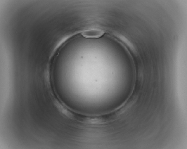 X0000113921460200909241520