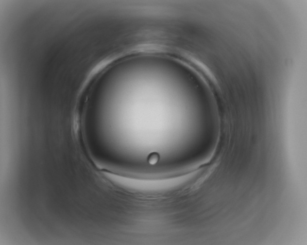 X0000113921461200909241520