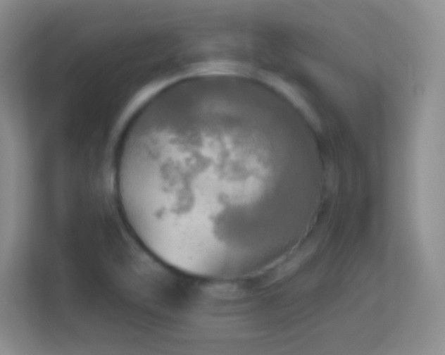 X0000113921462200909241520