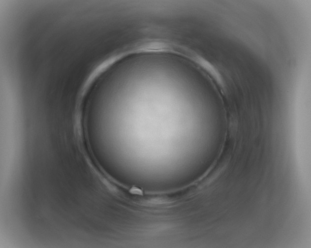 X0000113921464200909241520