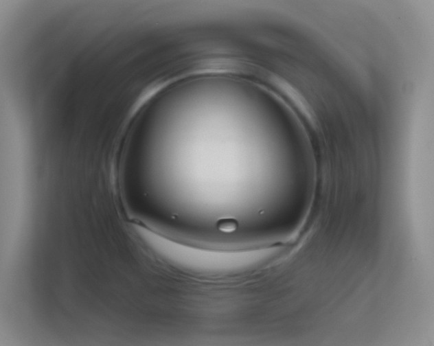 X0000113921465200909241520