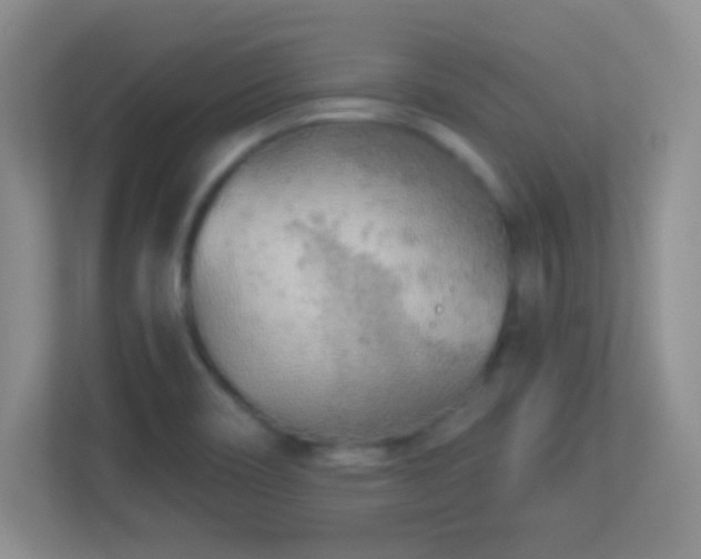 X0000113921466200909241520