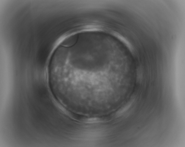 X0000113921467200909241520