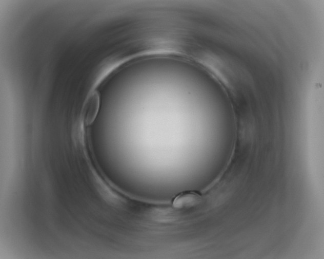 X0000113921468200909241520