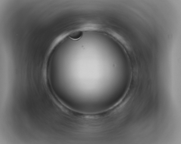 X0000113921469200909241520