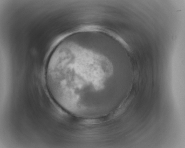 X0000113921470200909241520