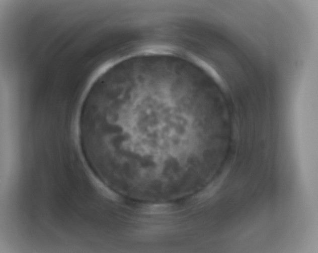 X0000113921471200909241520