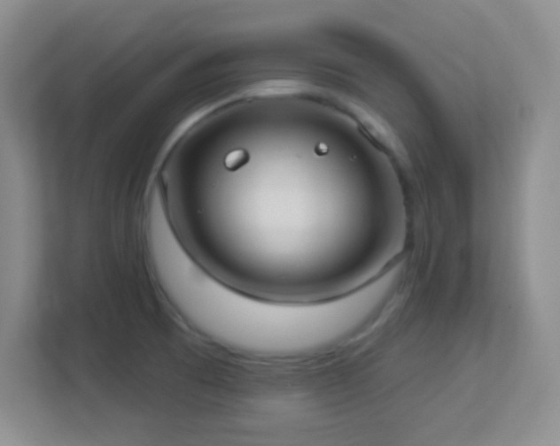 X0000113921473200909241520