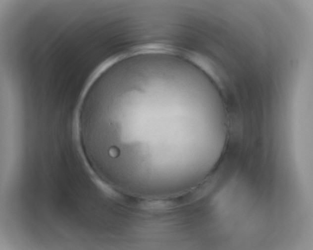 X0000113921474200909241520