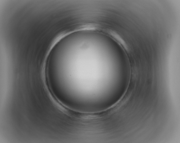 X0000113921475200909241520