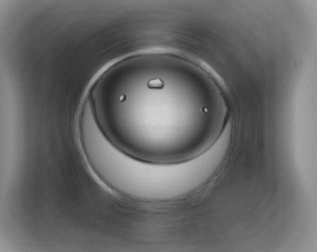 X0000113921476200909241520