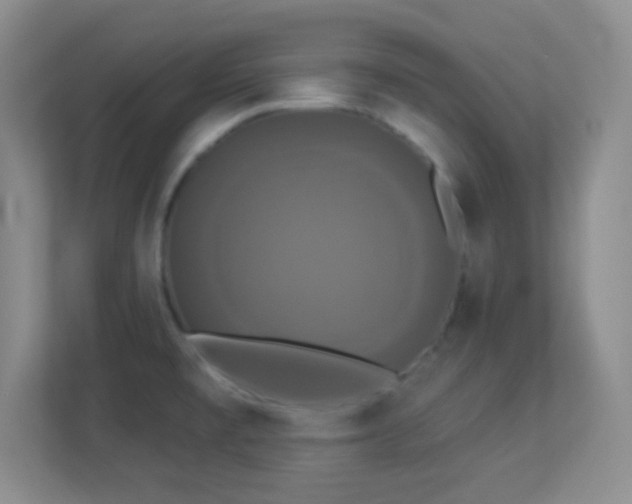 X0000113921477200909241520