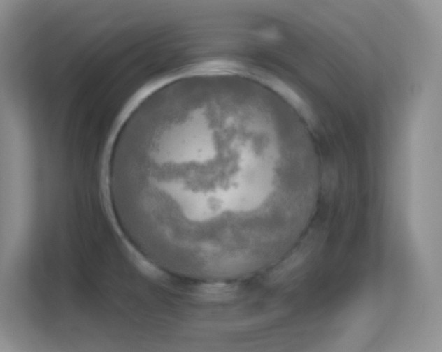 X0000113921478200909241519