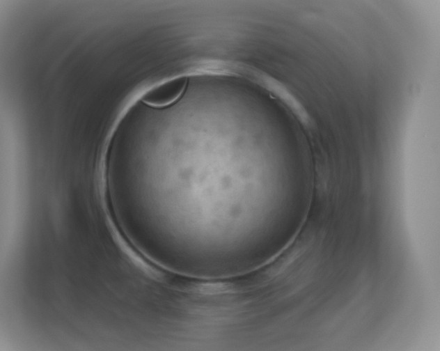 X0000113921479200909241519