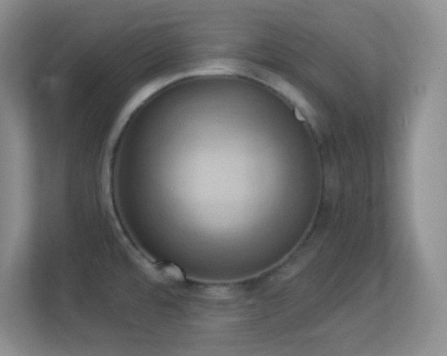 X0000113921480200909241519