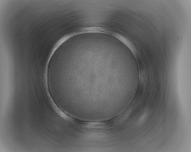 X0000113921482200909241519