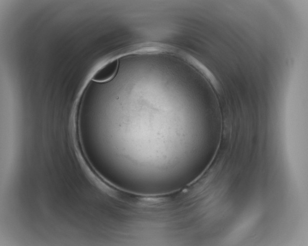 X0000113921483200909241519