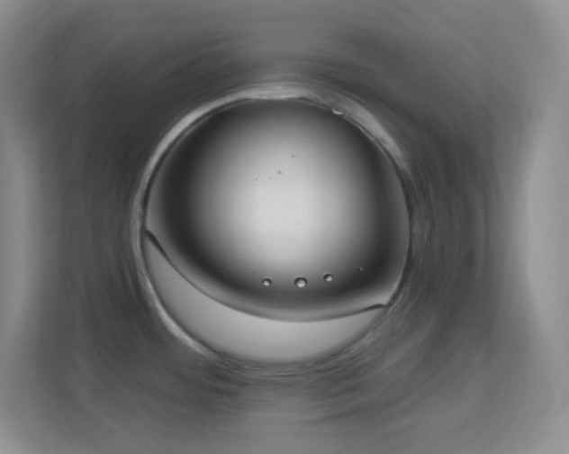 X0000113921484200909241519