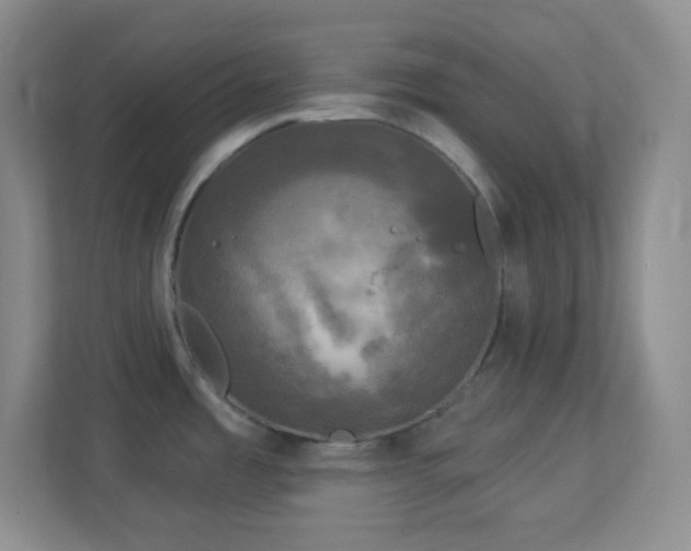 X0000113921485200909241519