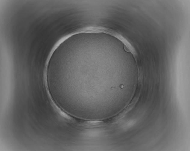 X0000113921486200909241519