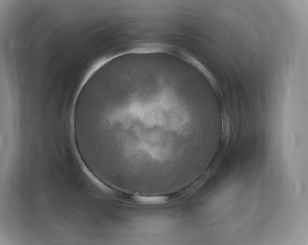 X0000113921487200909241519