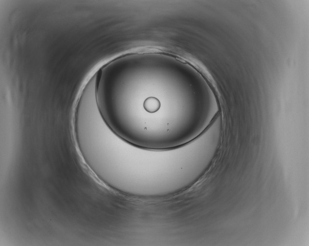 X0000113921488200909241519