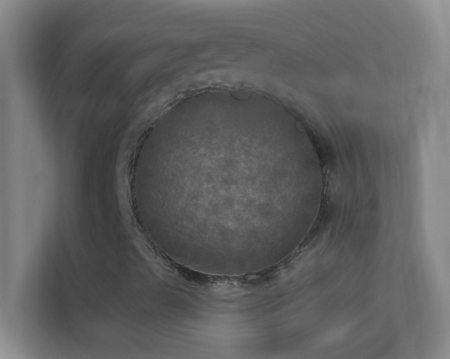 X0000113921489200909241519