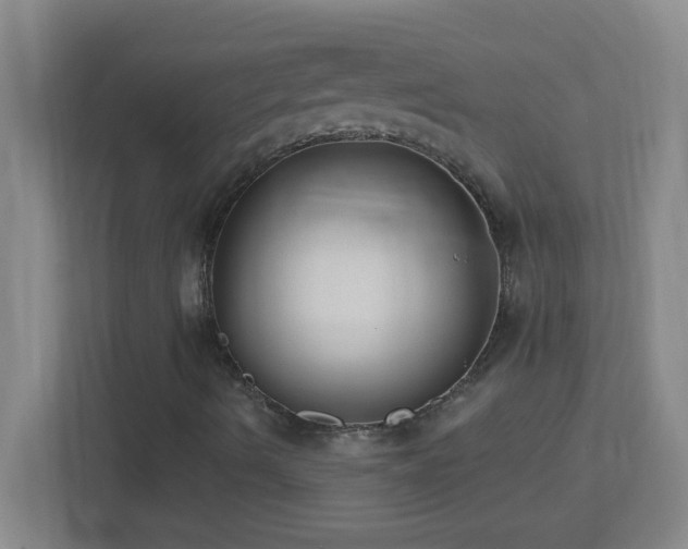 X0000113921490200909241519