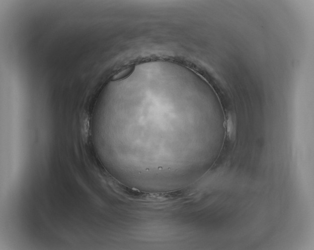 X0000113921492200909241519