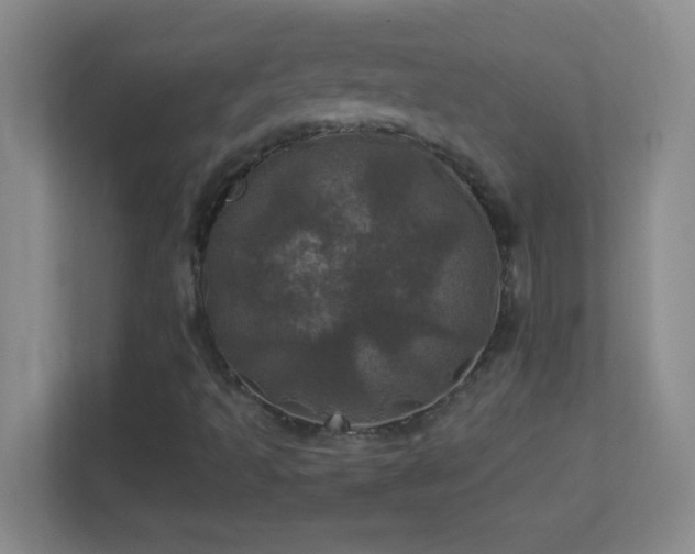 X0000113921493200909241519