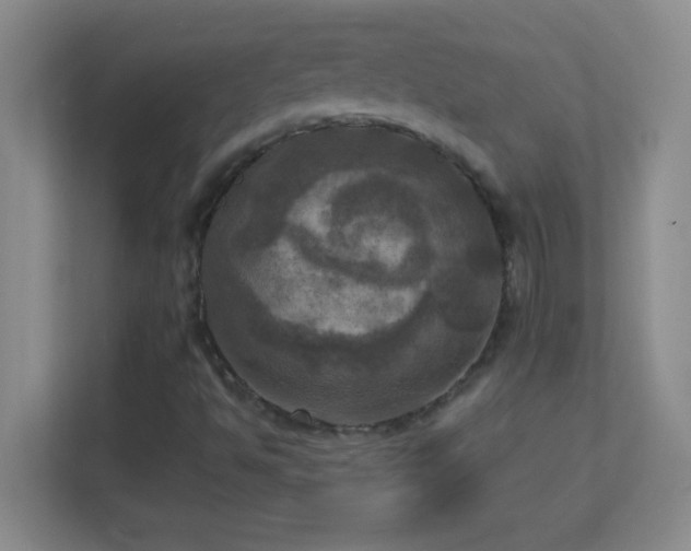 X0000113921494200909241519