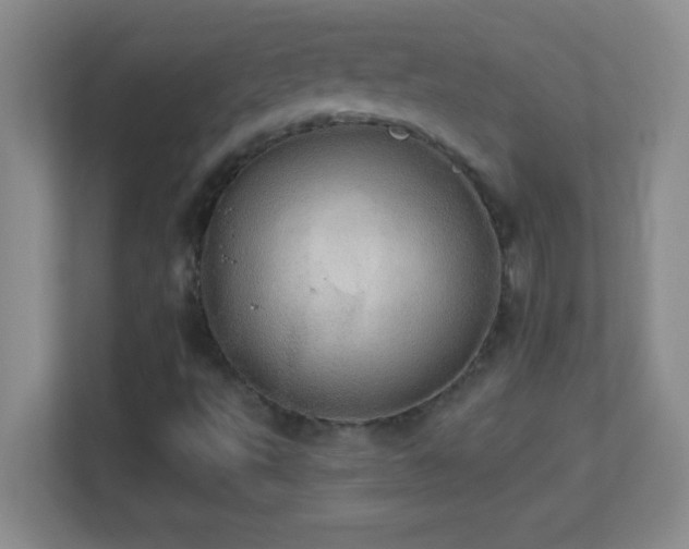 X0000113921495200909241519