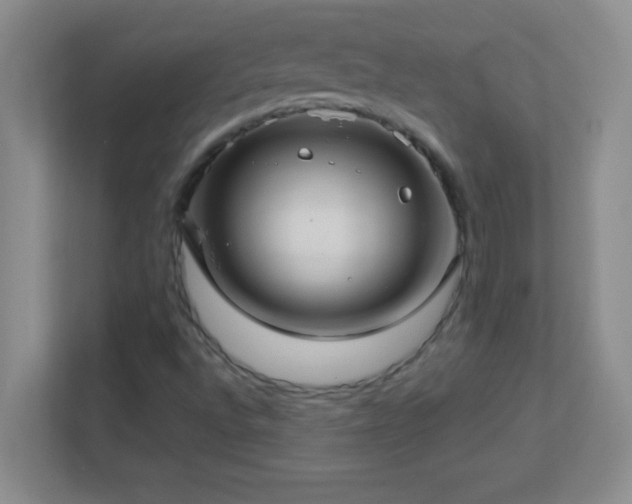 X0000113921496200909241519