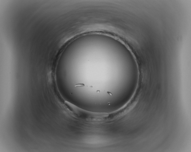 X0000113921497200909241519