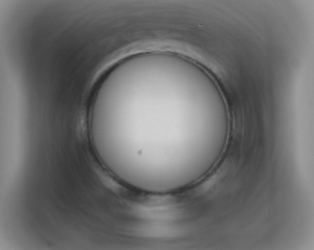 X0000113921498200909241519